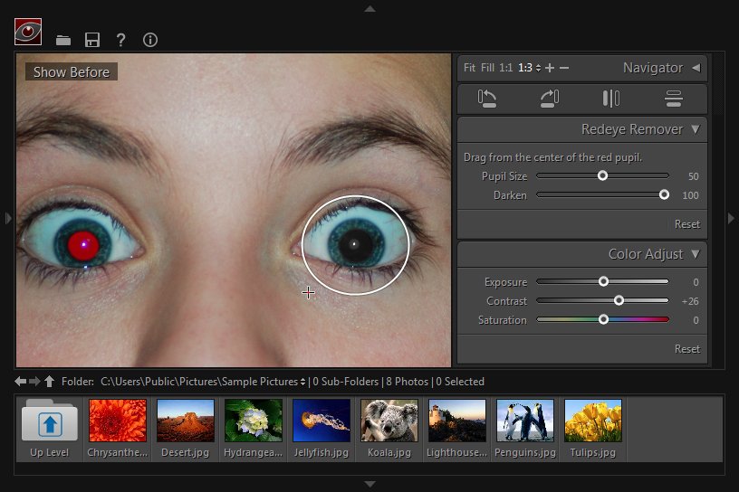 Click to view Free Red-eye Reduction Tool 1.0 screenshot