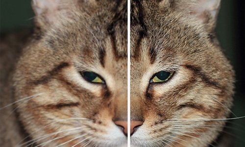 Example of Skin smoothing & enhancement