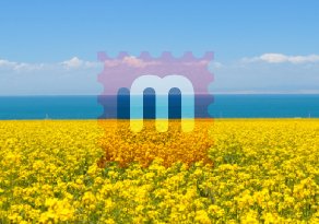 watermark blend mode soft-light